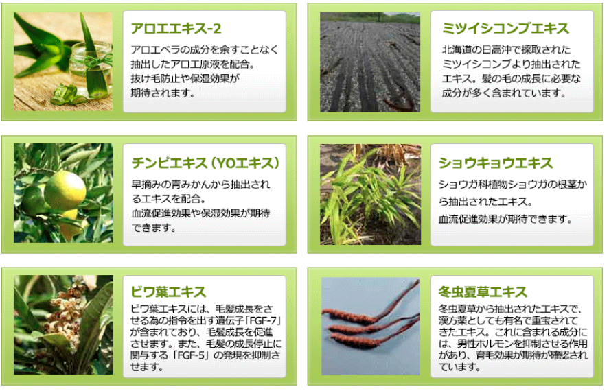 ６つの天然成分